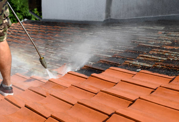 Best Residential Pressure Washing Services  in North Palm Beach, FL