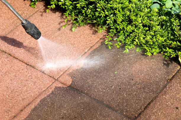 Why Choose Our Certified Pressure Washing Experts for Your Project Needs in North Palm Beach, FL?